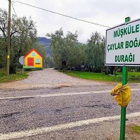 House Villa *
