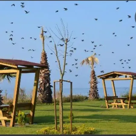 House Villa *